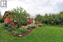 Expansive green lawn with established garden beds and mature trees offering privacy - 