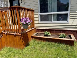 Front flower beds - 