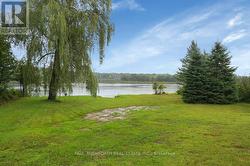 Backyard - 