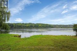 Patterson Lake - 