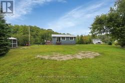 Backyard - 