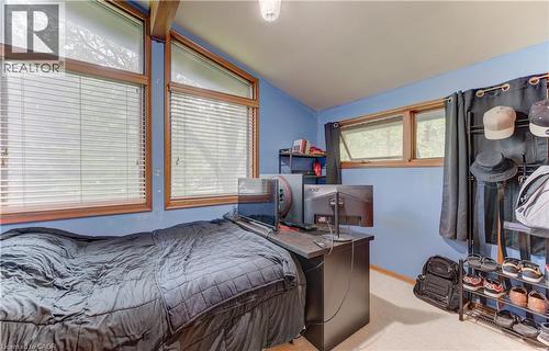 Dual windows with wood-finish frames - 80 Chapel Hill Drive, Kitchener, ON 