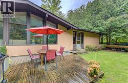 Expansive rear wood deck with direct entry, large windows, and a surrounding lawn - 