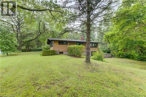 Expansive sloped lawn with mature trees and established perimeter greenery - 80 Chapel Hill Drive, Kitchener, ON 