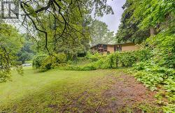 Expansive sloped yard with mature trees and established plantings - 