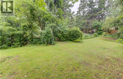 Expansive grassy area surrounded by lush trees and varied foliage - 80 Chapel Hill Drive, Kitchener, ON 