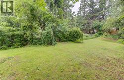 Expansive grassy area surrounded by lush trees and varied foliage - 