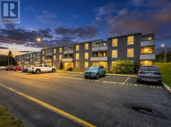 48 Pasadena Crescent Unit#110 St. John's, NL A1E 4S2
