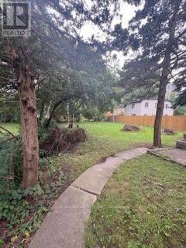 LOWER - 55 BISHOP AVENUE , Toronto, Ontario M2M 1Z5 4