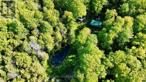 14200 Sideroad 18, Brock, ON 