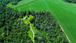Overall view - 