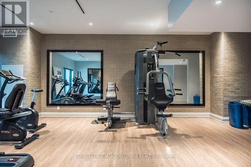 clean and bright to stay motivated - 205 - 102 Grovewood Common, Oakville, ON 