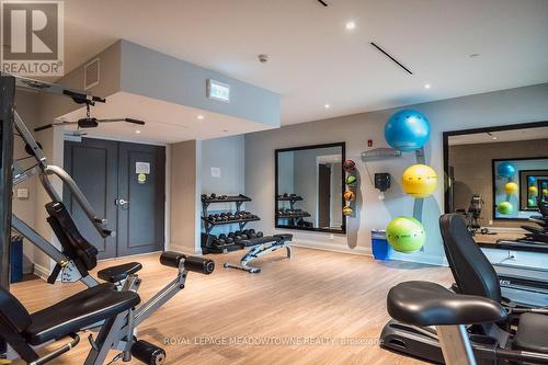 Enjoy working out in this great space - 205 - 102 Grovewood Common, Oakville, ON 