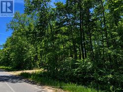 0 BUCKSHOT LAKE ROAD Addington Highlands (Addington Highlands), ON K0H 1K0