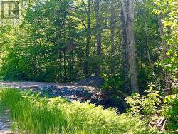00 BUCKSHOT LAKE ROAD Addington Highlands (Addington Highlands), ON K0H 1K0
