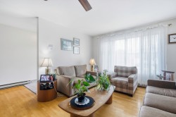 Salon - 