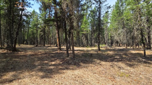 3410 Simon Road, Skookumchuck, BC 
