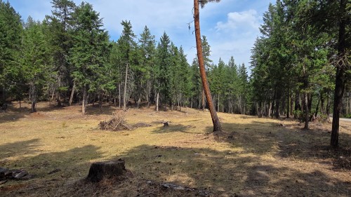 3410 Simon Road, Skookumchuck, BC 