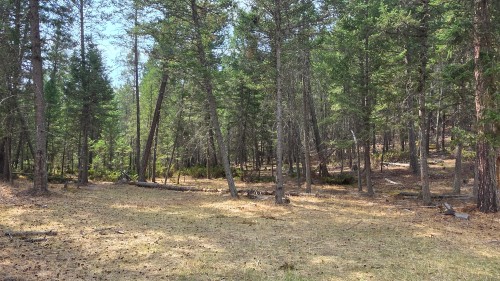 3410 Simon Road, Skookumchuck, BC 