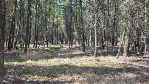 3410 Simon Road, Skookumchuck, BC 