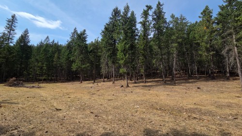 3410 Simon Road, Skookumchuck, BC 