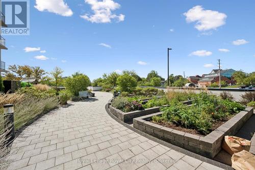 Communal outdoor space with vegetables gardens - 306 - 150 Wellington Street E, Guelph (Downtown), ON 