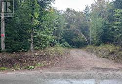 0 QUEENS LINE ROAD Minden Hills, ON K0M 2K0