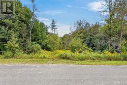 PT LT 6 SEAFORTH CRESCENT Selwyn, ON K9J 6X5