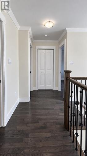 156 Harmsworth Drive, Grand Falls-Windsor, NL 