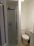 Frosted glass shower enclosure with chrome framing, white toilet, and pedestal sink - 