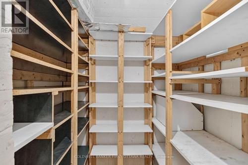 basement cold storage room - 779 Halstead Street, Ottawa, ON 