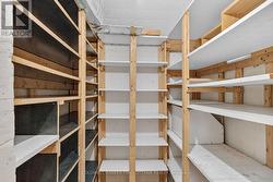 basement cold storage room - 