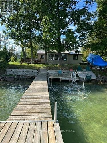 20 SNAKE ISLAND E  Georgina Islands, ON L4P 0M2