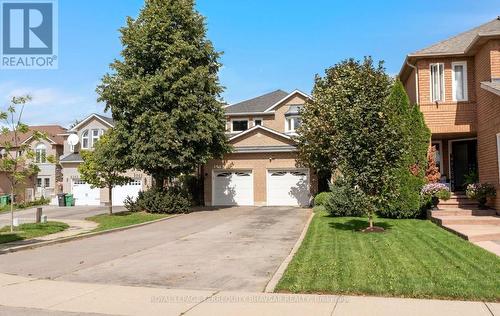 6559 Sapling Trail, Mississauga, ON 