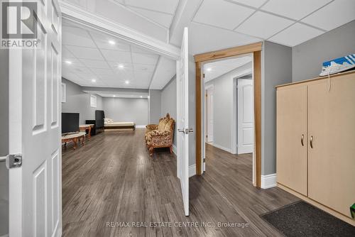 Basement - 3 Twin Willow Crescent, Brampton, ON 