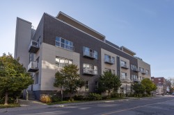 306-240 Ch. Bates  Mont-Royal, QC H3S 1A3