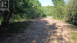 26-2 512 Shortt's Lake West Road Shortts Lake, NS B0N 1C0