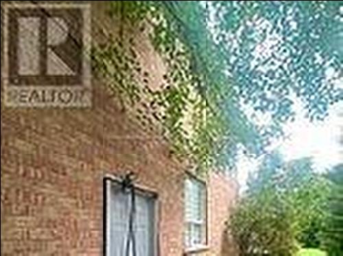 BASEMENT - 97 LONG POINT DRIVE , Richmond Hill, Ontario L4E 3Z7 2