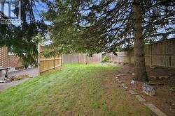 Expansive grassy yard with mature trees and wood fencing - 