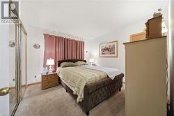 Mirrored closet doors and carpeted flooring - 