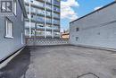 438 Lewis Street, Ottawa, ON 