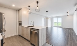 Kitchen - 