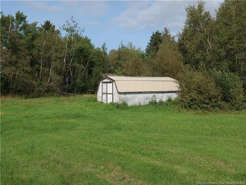 21 Burnside Rd, Timber River, NB 