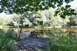 Bord de l'eau - 
