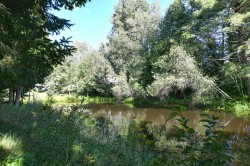 Bord de l'eau - 