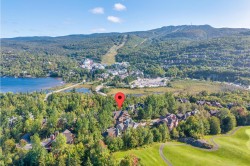 Aerial View - 