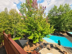 Pool - 