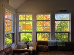 Living Room - 