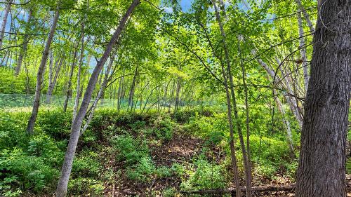 Spruce Grove, Alberta 