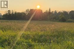 472 RIVER ROAD North Grenville, ON K0G 1N0